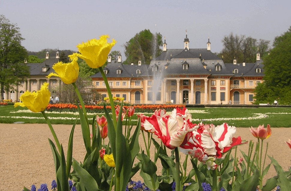 The green side of Dresden Grosser Garten, Pillnitz & Alaunpark