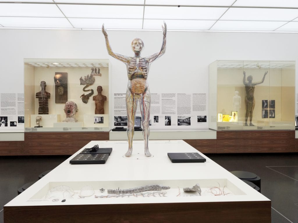 Dauerausstallung Hygiene Museum