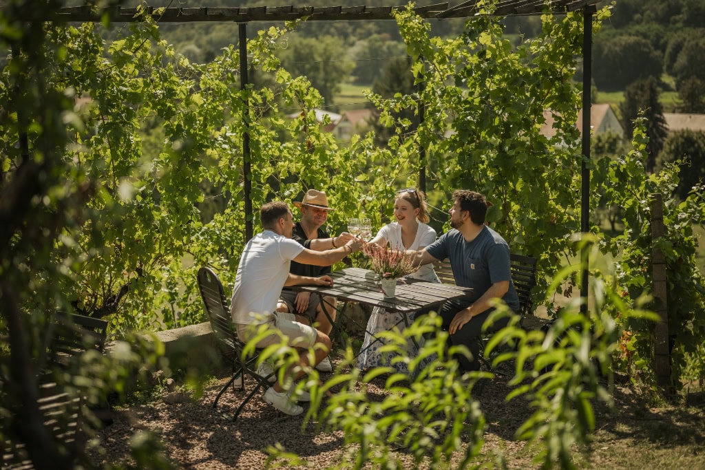 Weingut Mariaberg Meißen