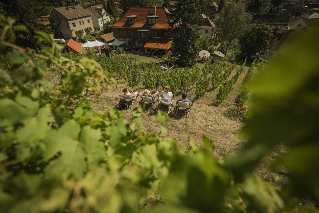 Ein malerischer Blick auf das Weingut Mariaberg