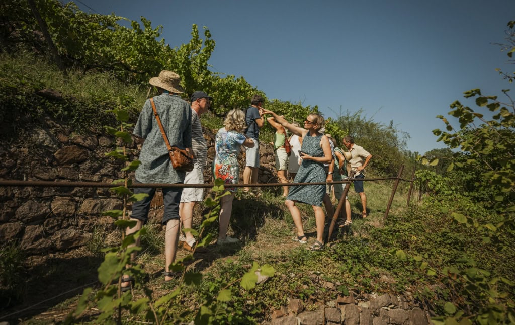 Führung im Weingut Fehrmann zu den Tagen des offenen Weinguts