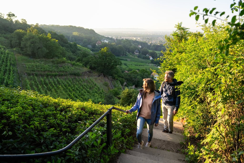 Weinwandern am Spitzhaus Radebeul