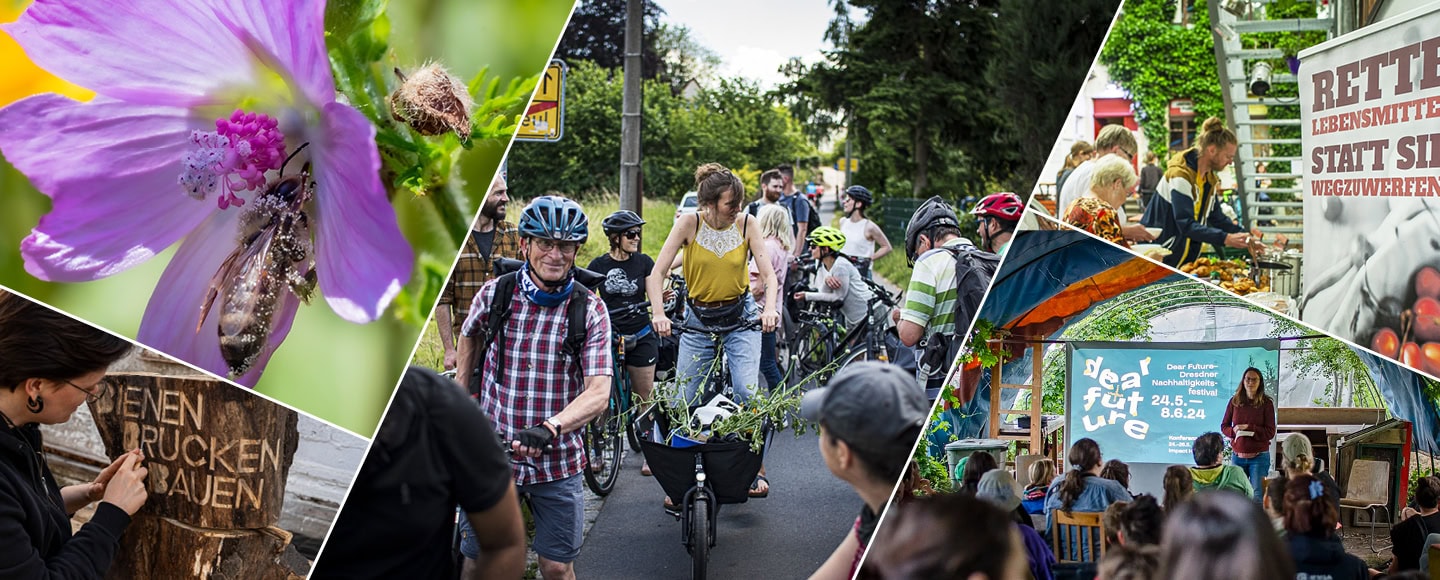 Eindrücke vom Dear Future Festival 2024 und dem Projekt BienenBrückenBauen, zwei Beispielen für Nachhaltigkeit made in Dresden.