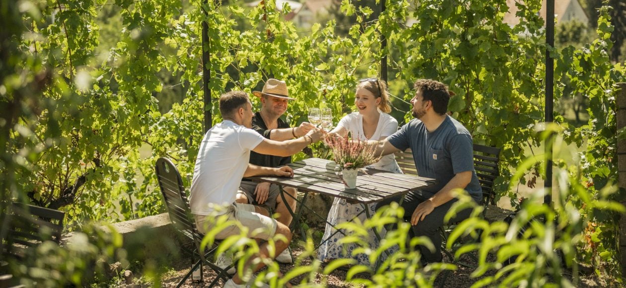 Anstossen im Weingut Mariaberg bei Dresden.