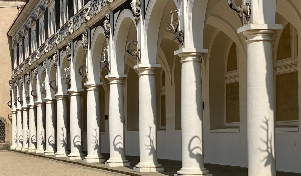 Stadtführungen Dresden: 11 außergewöhnliche Touren mit Wow-Effekt