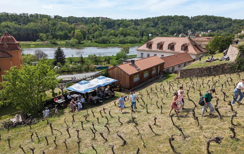 Weinberg mit Reben am Rande eines Flusses. Am fuß des Weinbersg sitzen Menschen unter Sonnenschirmen und trinken Wein