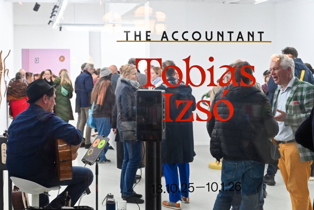 Zu sehen ist die Ausstellung "The Accountant" von Tobias Izsó" in der Galerie im Kunstverein Dresden in Dresden-Neustadt.