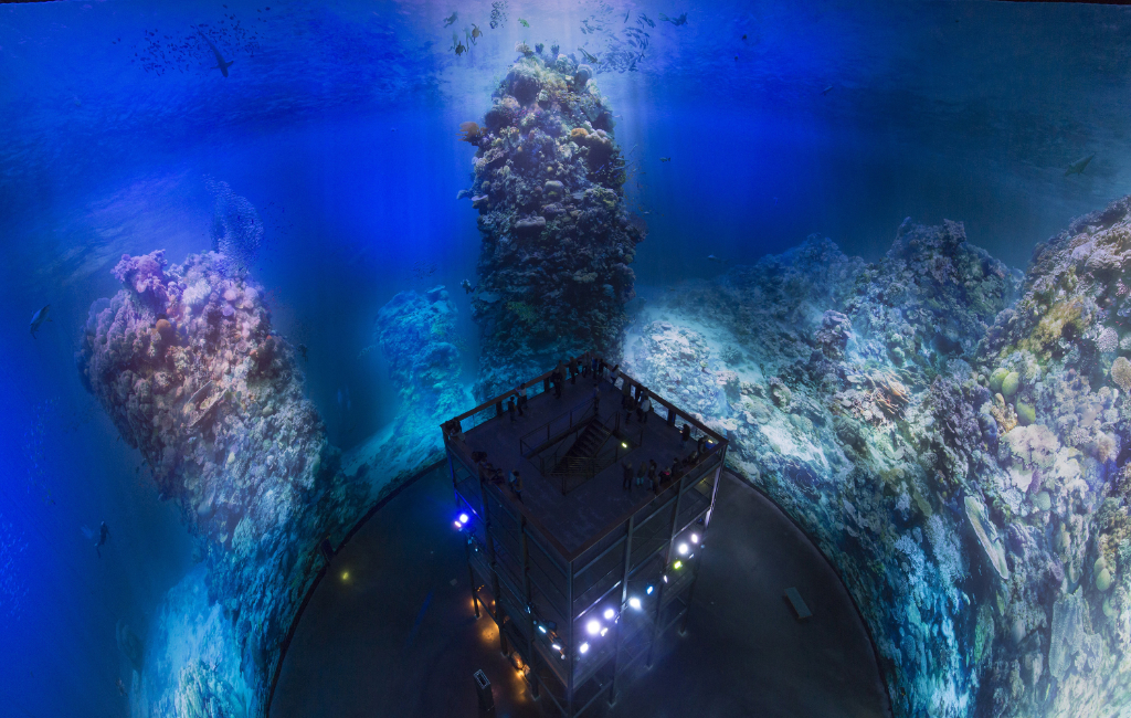 Zu sehen ist ein 360°-Panorama des größten Korrallenriffs der Welt - das Great Barrier Reef. Es war zuvor im Pamometer Leipzip zu sehen und wird ab dem 27. März 2026 im Panometer Dresden ausgestellt.