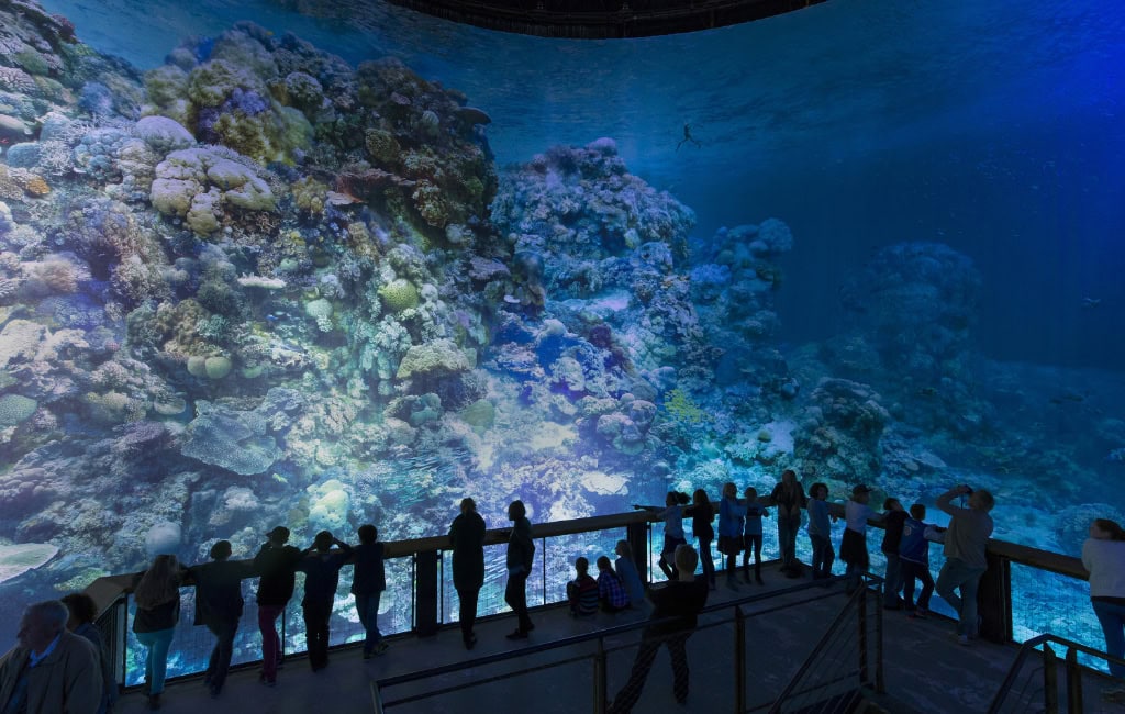 Zu sehen sind mehrere Besucherinnen und Besucher, die nahe an dem 360°-Panorama stehen, welches das Great Barrier Reef zeigt.