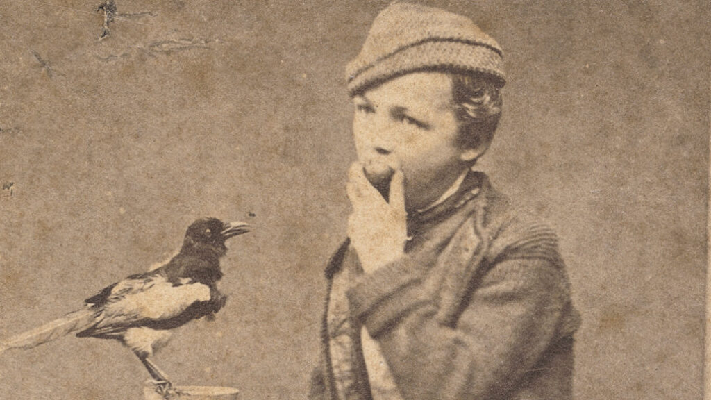 Sepiaporträt: Junge Person mit Mütze blickt zur Kamera; eine Elster sitzt auf einem Holzständer daneben.