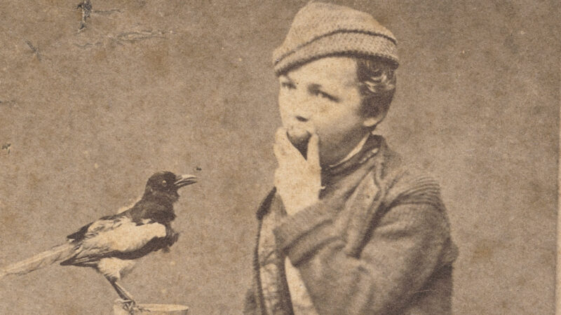 Sepiaporträt: Junge Person mit Mütze blickt zur Kamera; eine Elster sitzt auf einem Holzständer daneben.