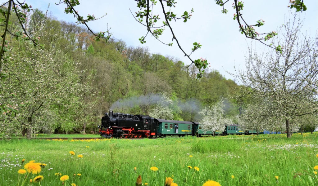 Dampfeisenbahn fährt durch Wiesen und Wälder