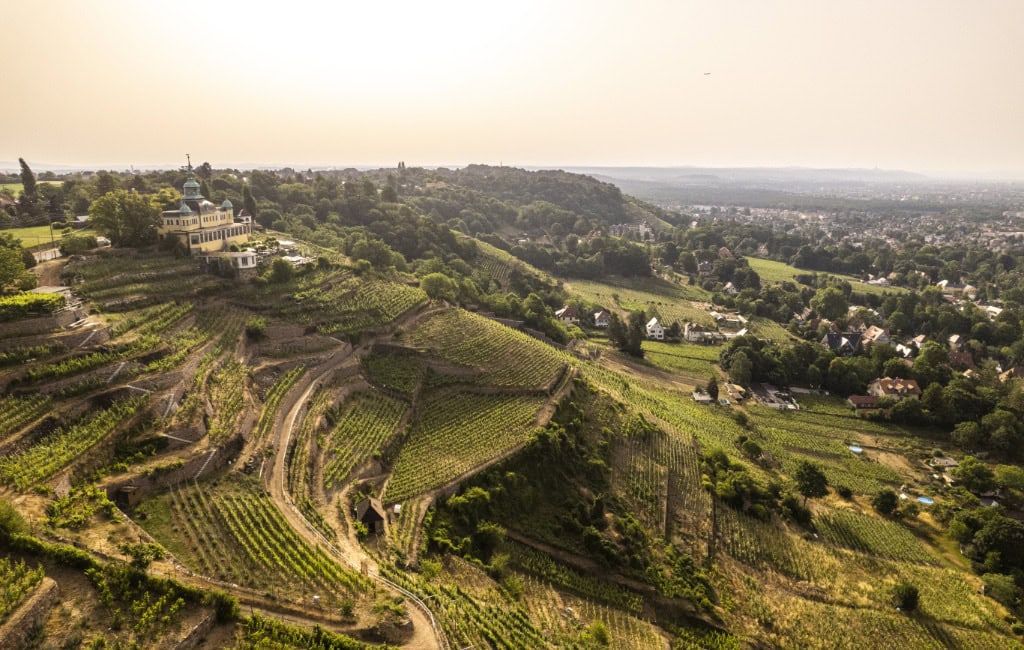 Blick auf das Spitzhaus Radebeul und die Weinhänge drumherum.