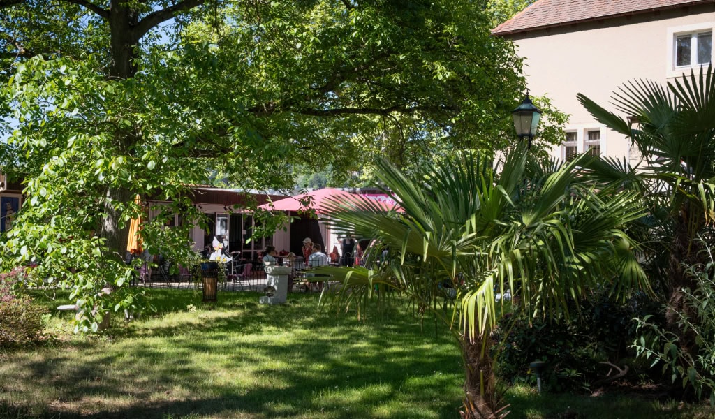 Grüner Garten mit Café-Terrasse im Schatten großer Bäume, Palmen im Vordergrund, helles Gebäude am rechten Bildrand
