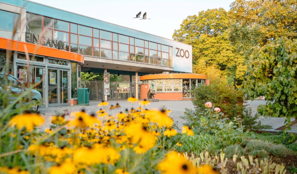 Eingang zum Zoo Dresden mit Blumen und grüner Umgebung.