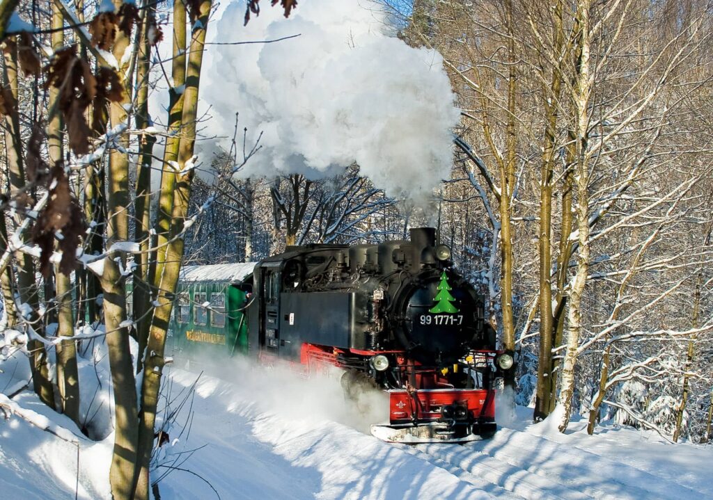 Weißeritztalbahn: Historische Dampflokomotive mit grünem Personenwagen fährt durch einen verschneiten Wald. An der Lok hängt ein grüner Weihnachtsbaum.